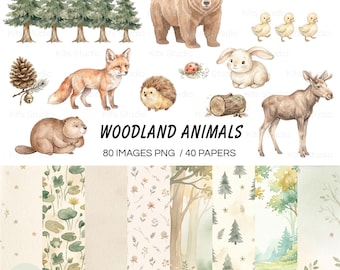 Aquarell-Waldtier-Cliparts (PNG), niedliche Babytier-Bilder, Babyparty, Boho-Stil, digitale Papiere, digital