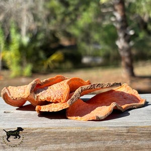 May include: Close-up of several pieces of dehydrated sweet potato. The orange-colored, wavy-edged slices have a slightly darker, textured border. The image is set on a wooden surface with a blurred green background.
