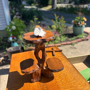 May include: A three-tiered wooden display stand with a polished brown finish and natural live edges. The structure features a central vertical support with a hollow opening, topped with a white seashell resting on the highest platform.