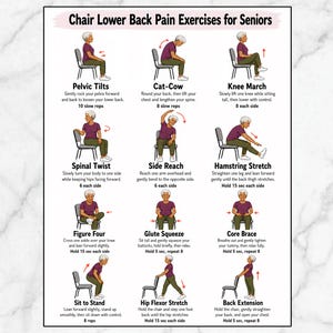 Könnte beinhalten: Ein Lehrplakat mit dem Titel Chair Lower Back Pain Exercises for Seniors, das zwölf Illustrationen einer Person in einem violetten Oberteil und einer grünen Hose zeigt, die sitzende Übungen auf einem Stuhl mit beschreibendem Text ausführt.