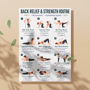 May include: A white instructional poster titled Back Relief & Strength Routine featuring twelve numbered illustrations of exercises. Each section includes a name, instructions, and repetition counts for movements like wall slides, cat-cow, and bird dog.