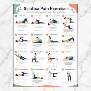 May include: A white instructional poster titled Sciatica Pain Exercises featuring sixteen numbered illustrations of a person performing various stretches. Each section includes the exercise name, descriptive text, and repetition or time guidelines.