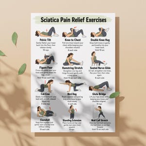 May include: A white informational poster titled Sciatica Pain Relief Exercises featuring twelve illustrated figures demonstrating various physical movements. Each section includes a specific exercise name, instructional text, and repetition counts.