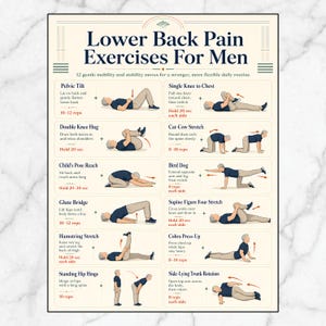Op de afbeelding: Een instructieposter getiteld Lower Back Pain Exercises For Men met twaalf geïllustreerde fysieke bewegingen. Elke sectie bevat een beschrijvende titel, stapsgewijze instructies en herhalingsaantallen voor oefeningen zoals bekkenkantelingen en de cat-cow stretch.