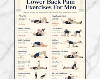 Lower Back Pain Exercises For Men Printable, No Equipment Needed, Low Impact Home Workout, Beginner Back Exercises Sheet PDF