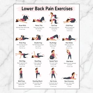 Peut inclure: Une affiche pédagogique intitulée Lower Back Pain Exercises présentant seize personnages illustrés en haut bordeaux et legging gris démontrant divers mouvements comme les roulements de genoux, bascules pelviennes, chat-vache et pont.