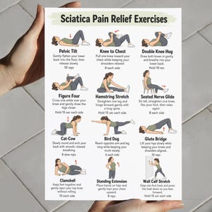 May include: A white informational chart titled Sciatica Pain Relief Exercises featuring twelve illustrated figures demonstrating physical movements. Each section includes text instructions for exercises like the Pelvic Tilt, Knee to Chest, and Glute Bridge.