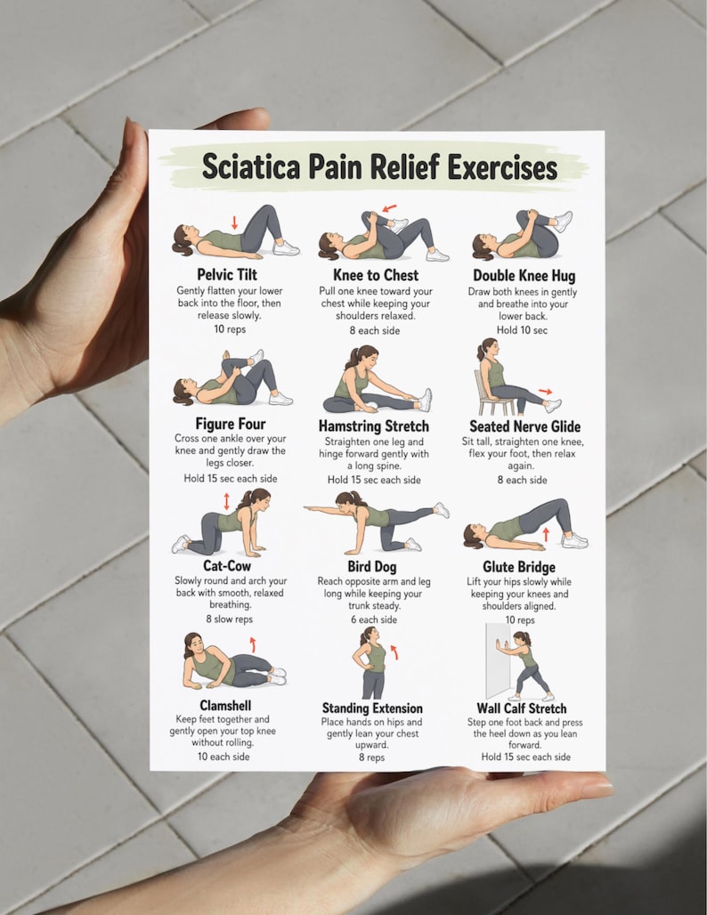 May include: A white informational chart titled Sciatica Pain Relief Exercises featuring twelve illustrated figures demonstrating physical movements. Each section includes text instructions for exercises like the Pelvic Tilt, Knee to Chest, and Glute Bridge.