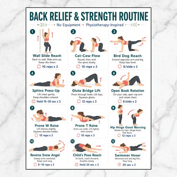 Back Relief & Strength Routine, Back Pain Exercises, Physiotherapy Inspired Chart, No Equipment Workout, Posture and Mobility Guide