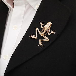 Könnte beinhalten: Eine goldfarbene Brosche in Form eines Froschskeletts mit einer cremeweißen, knochenfarbenen Oberfläche. Das Schmuckstück zeigt detaillierte Gliedmaßen, eine Wirbelsäule und einen Schädel und ist an einem schwarzen Kleidungsstück über einem weißen Hemd befestigt.