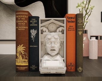 Doc from Back to the Future Book Nook