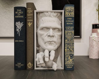 Frankenstein's Monster Book Nook