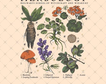Herbology Png, Wizardy Plants Png, Herbology Wizard School Png, Wizard School Png, Wizard Herbology Png, Witches Plant Png