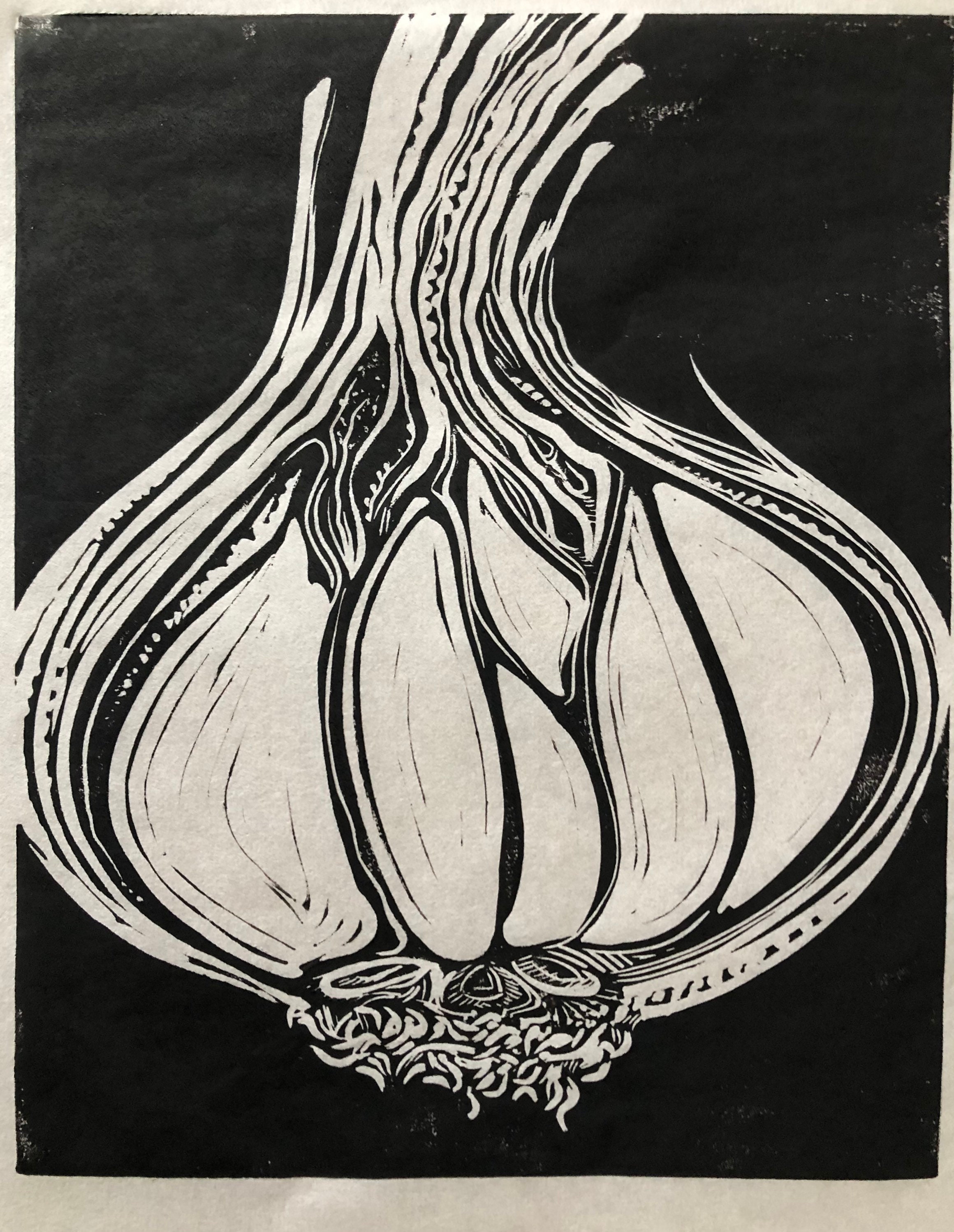 Garlic Bulb Linocut Etsy