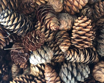 Perfect Petite Pinecones