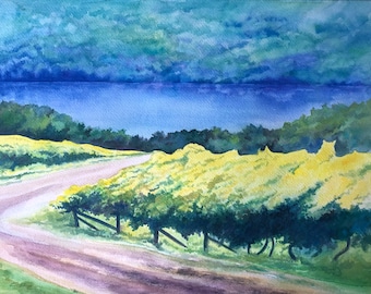 Hector Vineyard on Seneca Lake Watercolor