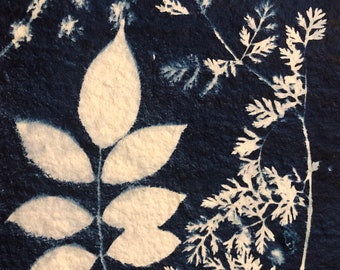 Lacey Leaves Cyanotype