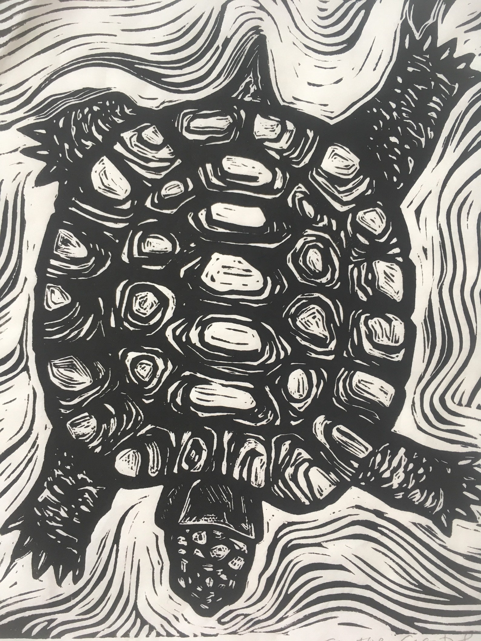 Box Turtle Linocut - Etsy