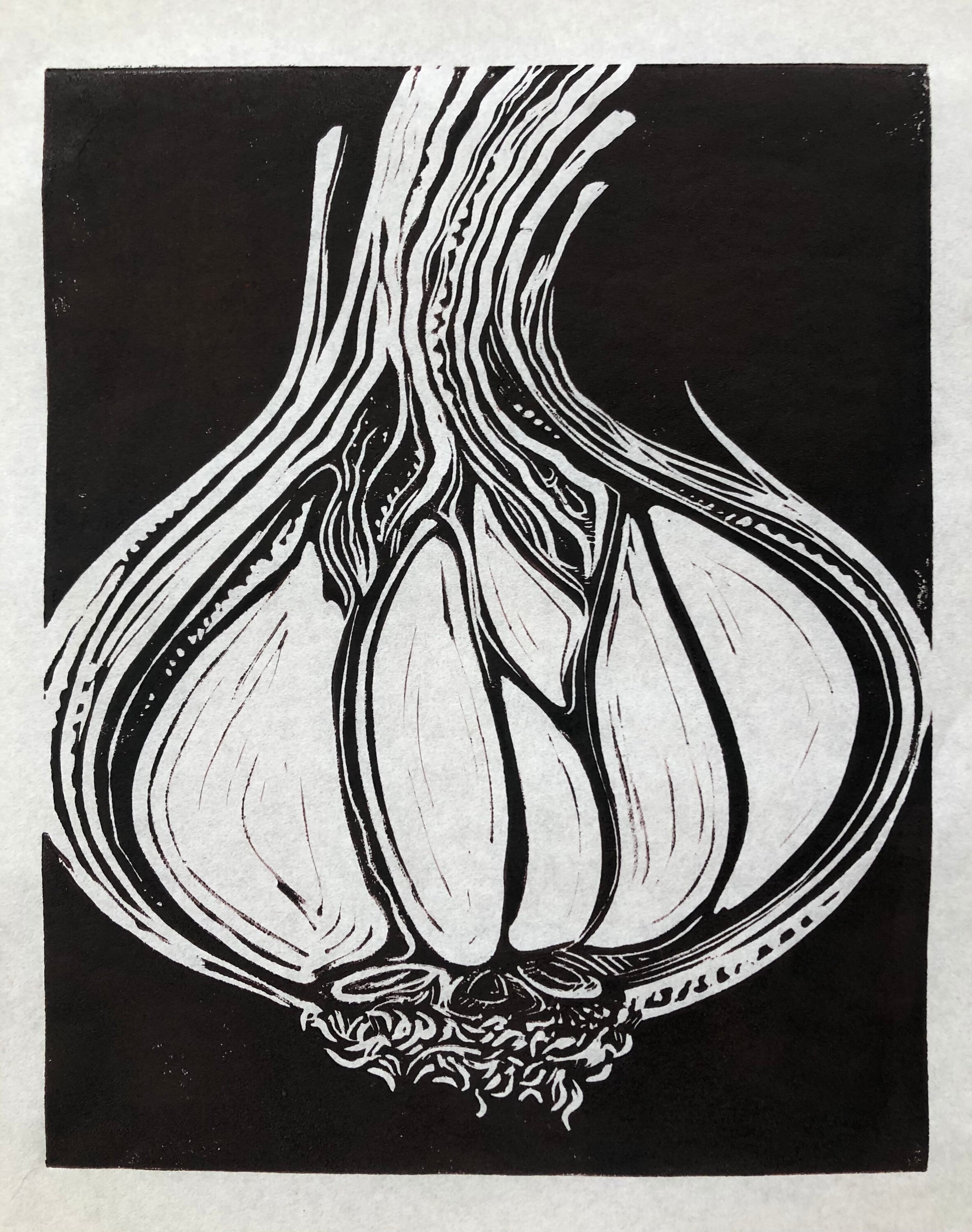 Garlic Bulb Linocut Etsy