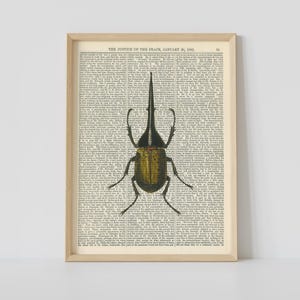 Könnte beinhalten: Ein gerahmter Druck mit einer detaillierten Illustration eines Käfers mit langem Horn. Der Käfer ist in Braun- und Gelbtönen gehalten und vor dem Hintergrund von Vintage-Buchseiten platziert. Der Text oben lautet "THE JUSTICE OF THE PEACE, JANUARY 20, 1900."