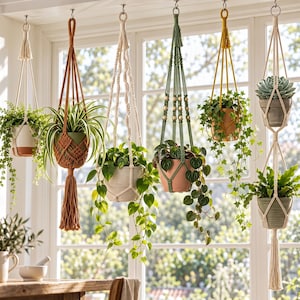 May include: A collection of six macrame plant hangers suspended from a ceiling, featuring various cord colours including cream, rust, sage green, and mustard yellow. The hangers hold diverse potted plants, including a spider plant and ivy.