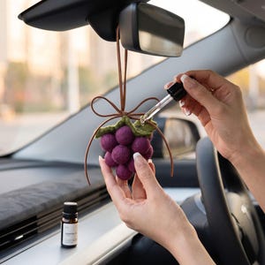 May include: A purple felt grape cluster car air freshener hanging from a brown leather cord with a bow. The felt grapes have green felt leaves at the top. A glass dropper is applying clear liquid to the felt surface of the grape cluster.