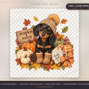 May include: A black and tan dachshund puppy wearing a tan knit beanie and boots, surrounded by pumpkins, autumn leaves, a pinecone, and a mug with the text hello fall. A wooden sign behind the puppy reads PUMPKIN PATCH.