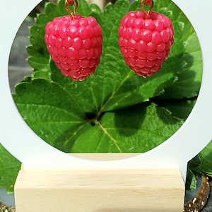 Op de afbeelding: Een paar oorringen met bungelende framboosvormige bedels in een levendige roze kleur. De bedels hebben een getextureerd, bobbelig oppervlak dat het uiterlijk van echt fruit nabootst. De ringen zijn gemaakt van goudkleurig metaal.