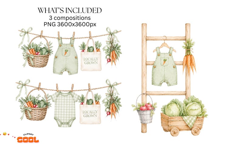 The image is a collage of three images depicting baby clothes, a ladder, and vegetables hanging on a line.