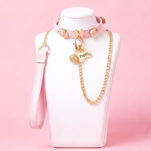 May include: A light pink collar with gold-toned hardware, including a heart-shaped center piece, a small bell, and a bone-shaped tag engraved with the word Puppy and a paw print. A matching pink leash with a gold chain attachment is also included.