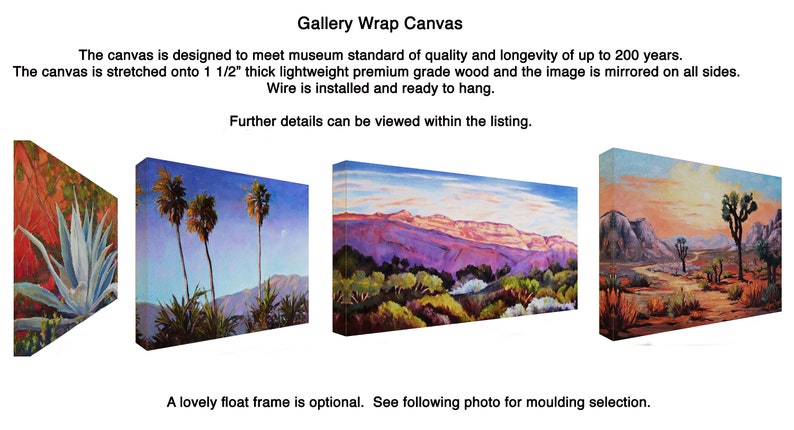 Santa Barbara Riviera prints on fine art paper, gallery wrap canvas and gallery wrap canvas in float frame, Santa Barbara wall art framed image 7