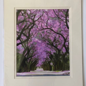 Jacaranda trees 11x14 matted print, jacaranda in landscape prints, clearance sale on prints image 2