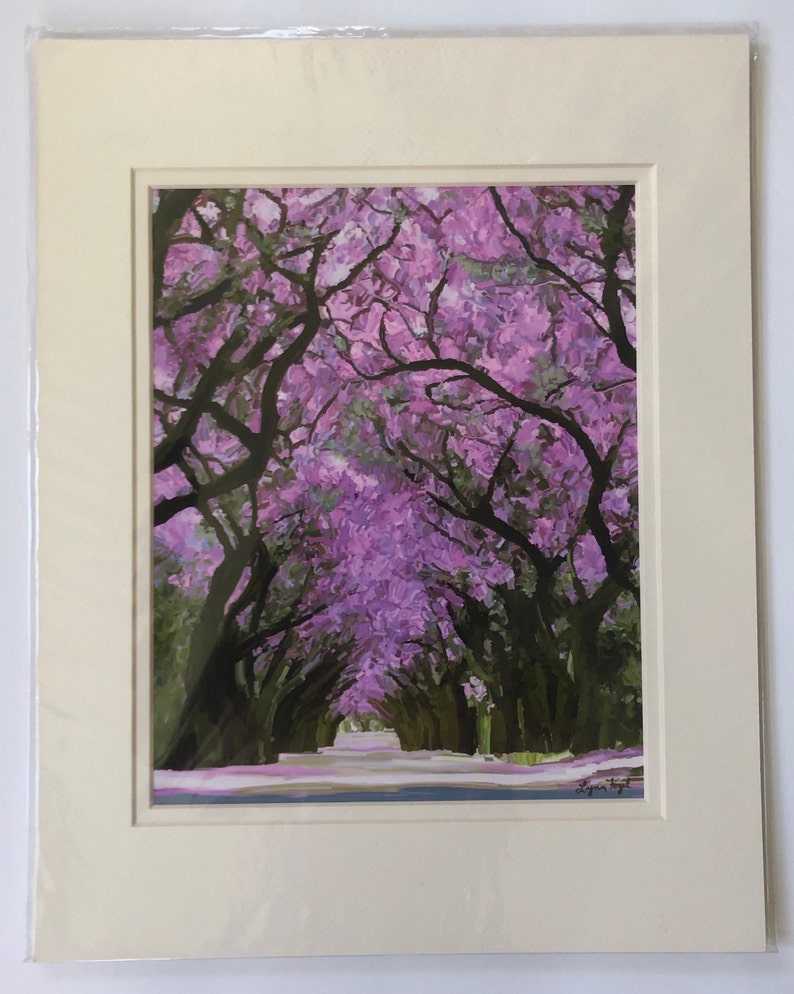 Jacaranda trees 11x14 matted print, jacaranda in landscape prints, clearance sale on prints image 2