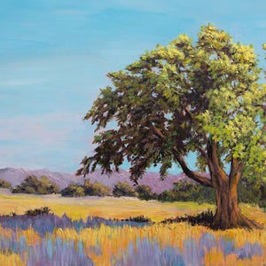 Impresión de paisaje de robles del valle de Ojai, en lienzo enmarcado o papel de bellas artes imagen 2