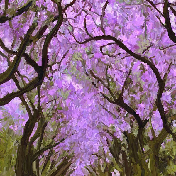 Jacaranda trees  11x14" matted print, jacaranda in landscape prints, clearance sale on prints