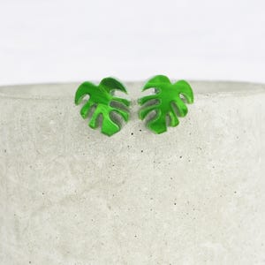 Monstera Titanium - Etsy