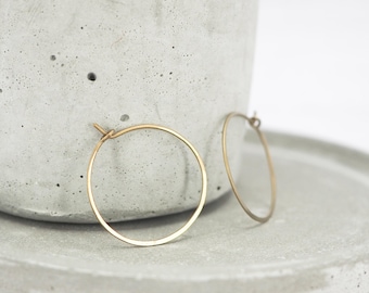 1 inch Anodised Titanium Hoop Earrings: Brassy Boho Threader, Hypoallergenic