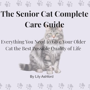 Può includere: Copertina di un libro con il titolo "The Senior Cat Complete Care Guide". La copertina presenta un'illustrazione di un gatto grigio e bianco. Il testo recita "Everything You Need to Give Your Older Cat the Best Possible Quality of Life" e "By Lily Ashford."