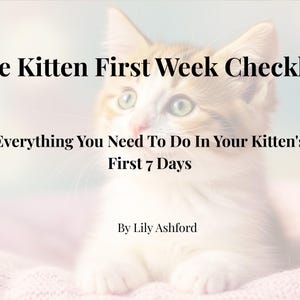 May include: A soft-focus image features a kitten with green eyes and a white and tan coat. Text overlay reads "The Kitten First Week Checklist" and "Everything You Need To Do In Your Kitten's First 7 Days" by Lily Ashford.