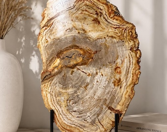 Large Indonesian Petrified Wood Slab – Polished Fossil Wood Cross Section – Organic Modern Stone Décor – Natural Crystal Display