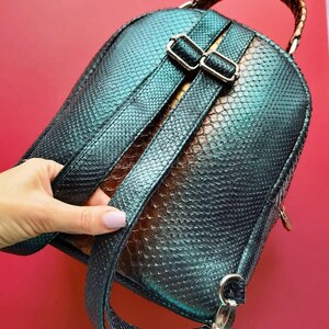 May include: A teal and black backpack with a snakeskin pattern. The backpack has silver-coloured buckles and a handle with a brown woven design. The straps are adjustable. The background is red.