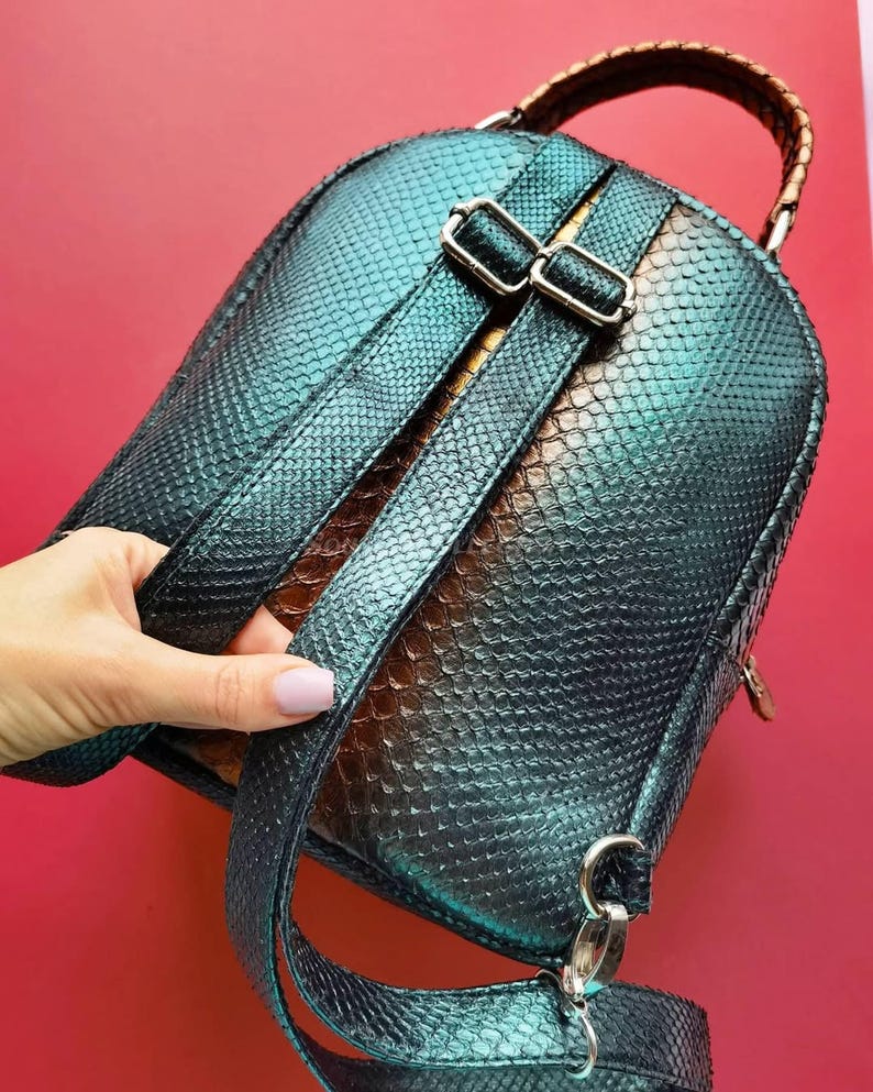 May include: A teal and black backpack with a snakeskin pattern. The backpack has silver-coloured buckles and a handle with a brown woven design. The straps are adjustable. The background is red.