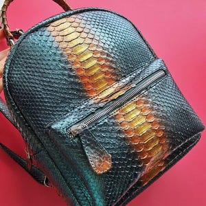 Può includere: Un piccolo zaino rotondo con un motivo a pelle di serpente nei toni del verde acqua, oro e marrone. Lo zaino ha una tasca frontale con cerniera e un manico intrecciato. La cerniera è color argento.