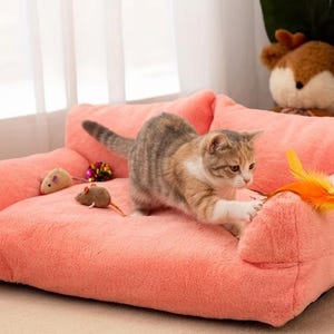May include: A plush, coral-colored cat sofa with a playful kitten. The sofa has a soft, textured surface and includes two toy mice. An orange feather toy is held out to the cat. A stuffed deer head is in the background.