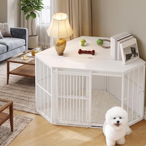 May include: A white dog crate with a gated door, in a living room setting. The top surface features a lamp, dog toys, and framed photos. A small, white dog with a fluffy coat sits in front of the crate.