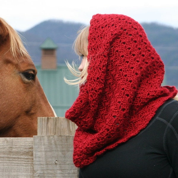 Ready To Ship Cowl Scarf Crochet Hood Scarf / The Raudona /  Chrimson Red