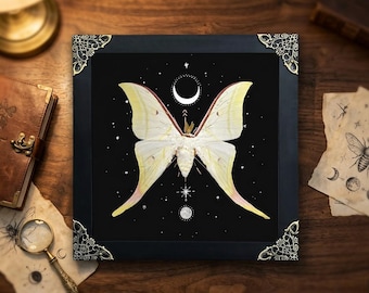 Framed Luna Moth Wall Art – Gothic Victorian Decor, Witchy Goblincore Cottagecore Hanging Oddity Gift