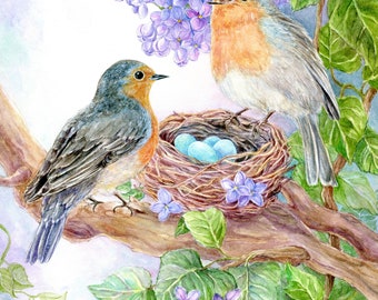 Robin Birds with Nest and Eggs Art Print,British Robins, Blue robin eggs, Nest, Lilacs  art print,11x14 art  print