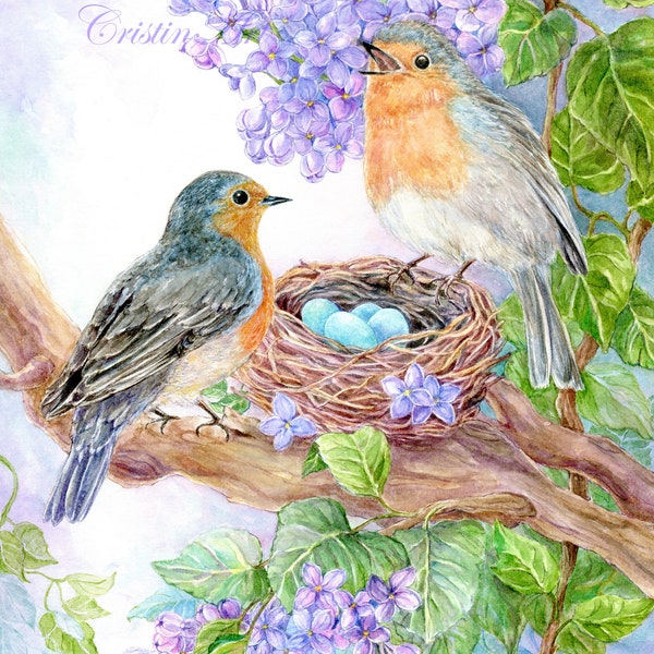 Robin Birds with Nest and Eggs Art Print,British Robins, Blue robin eggs, Nest, Lilacs  art print,11x14 art  print