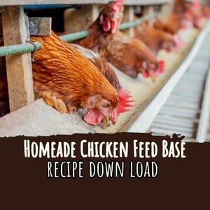 Homemade Chicken Feed Recipe • 50lb Layer Base, Minerals, Protein Boost (PDF Download)